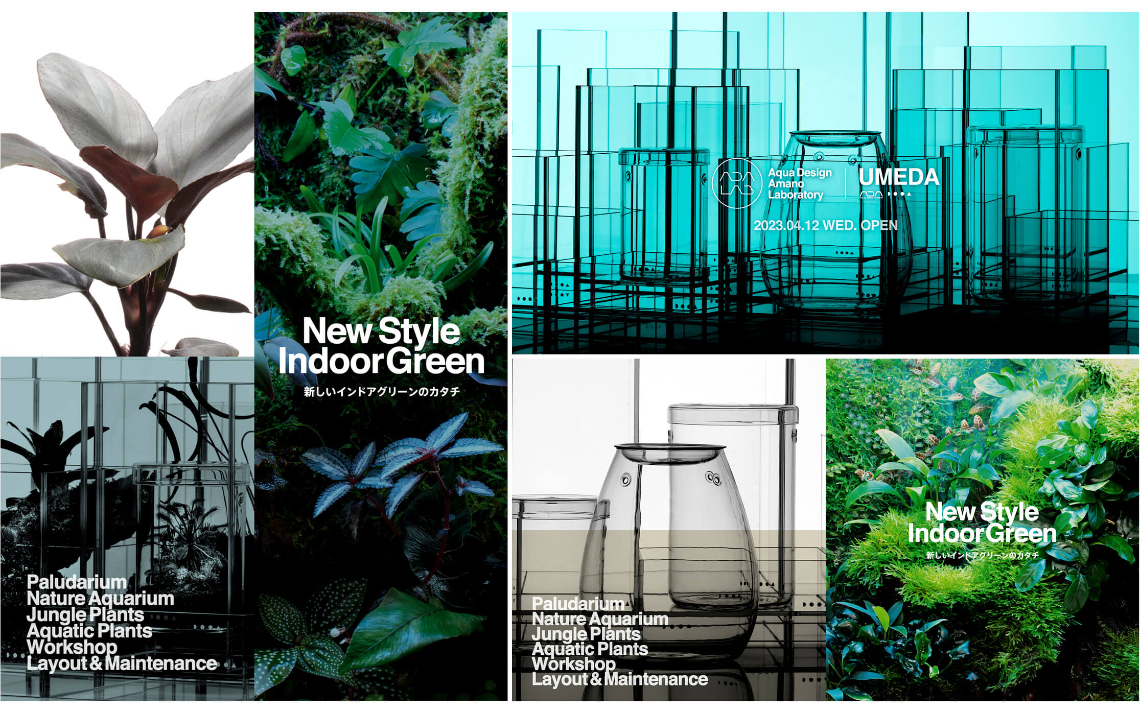 AQUA DESIGN AMANO LABORATORY KEY VISUAL