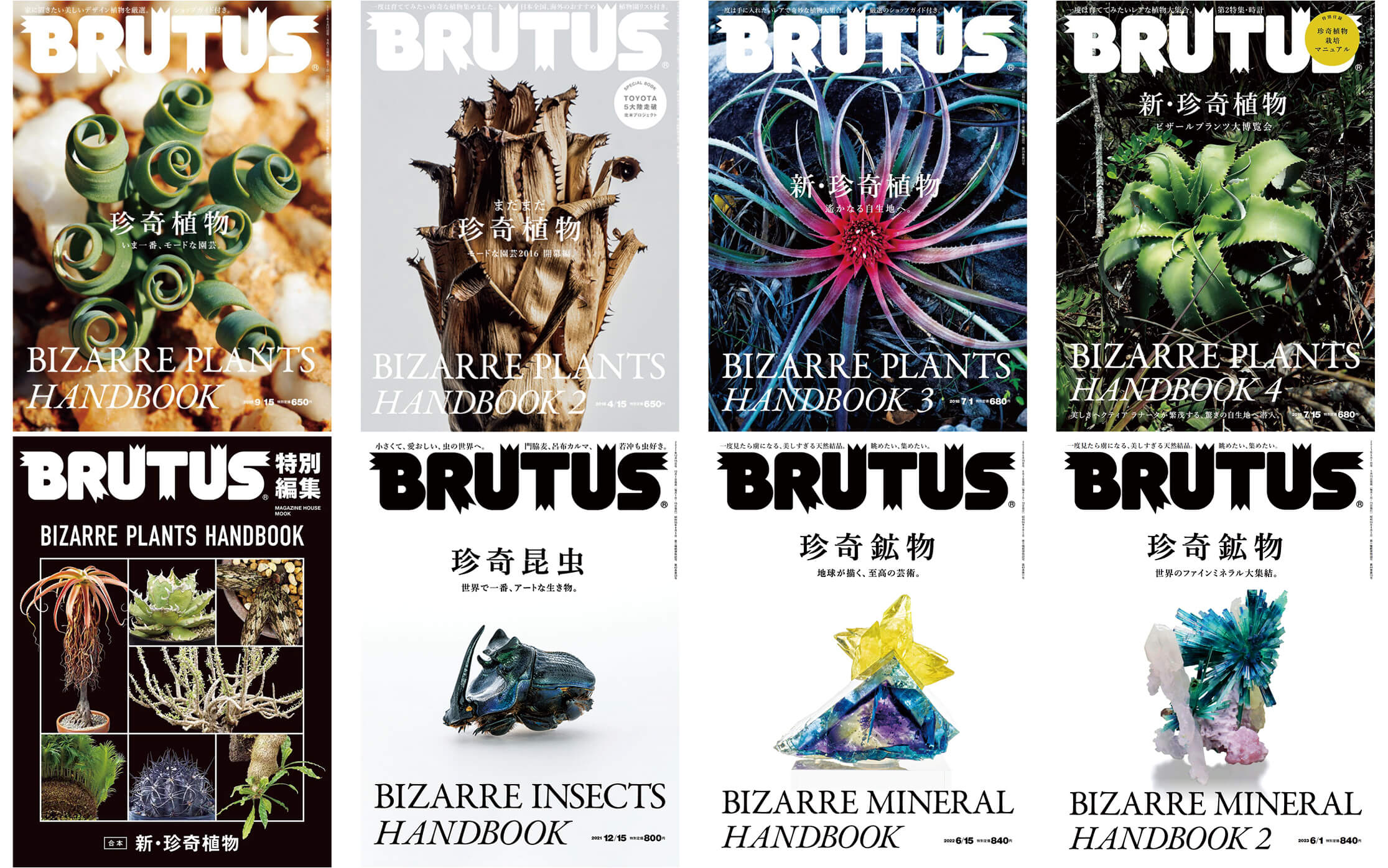 BIZARRE HANDBOOK  / BRUTUS