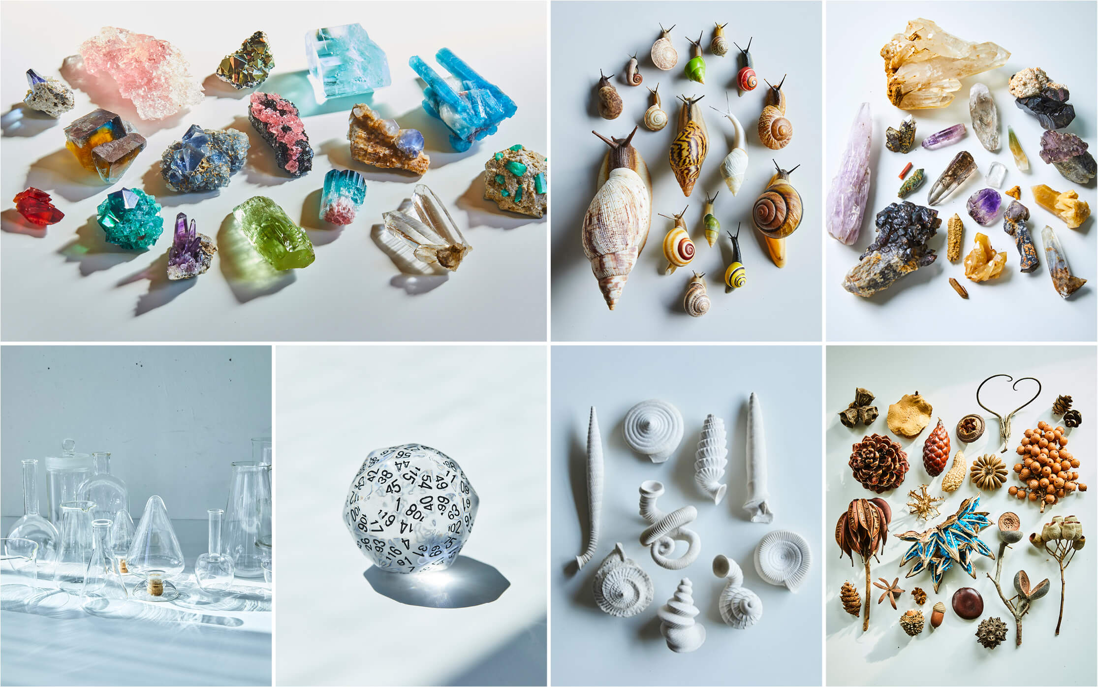 SCIENCE ON THE TABLE / POPEYE